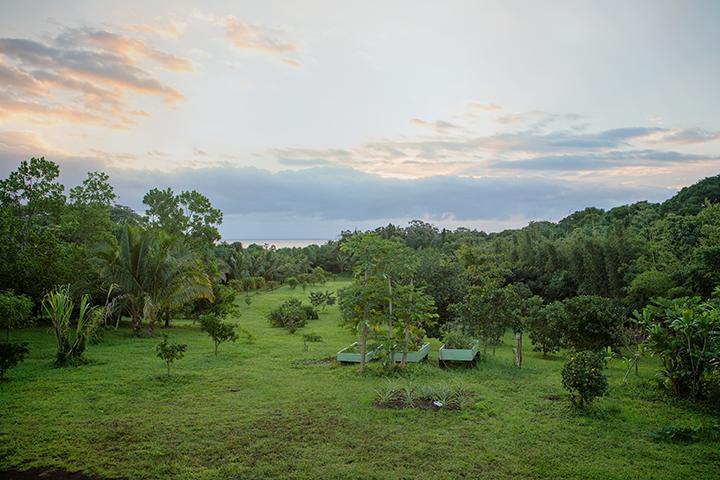 Kirpal Meditation And Ecological Center Pahoa Exterior foto