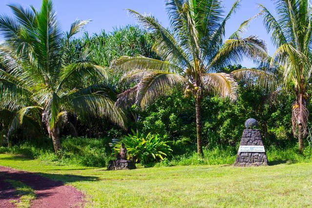 Kirpal Meditation And Ecological Center Pahoa Exterior foto